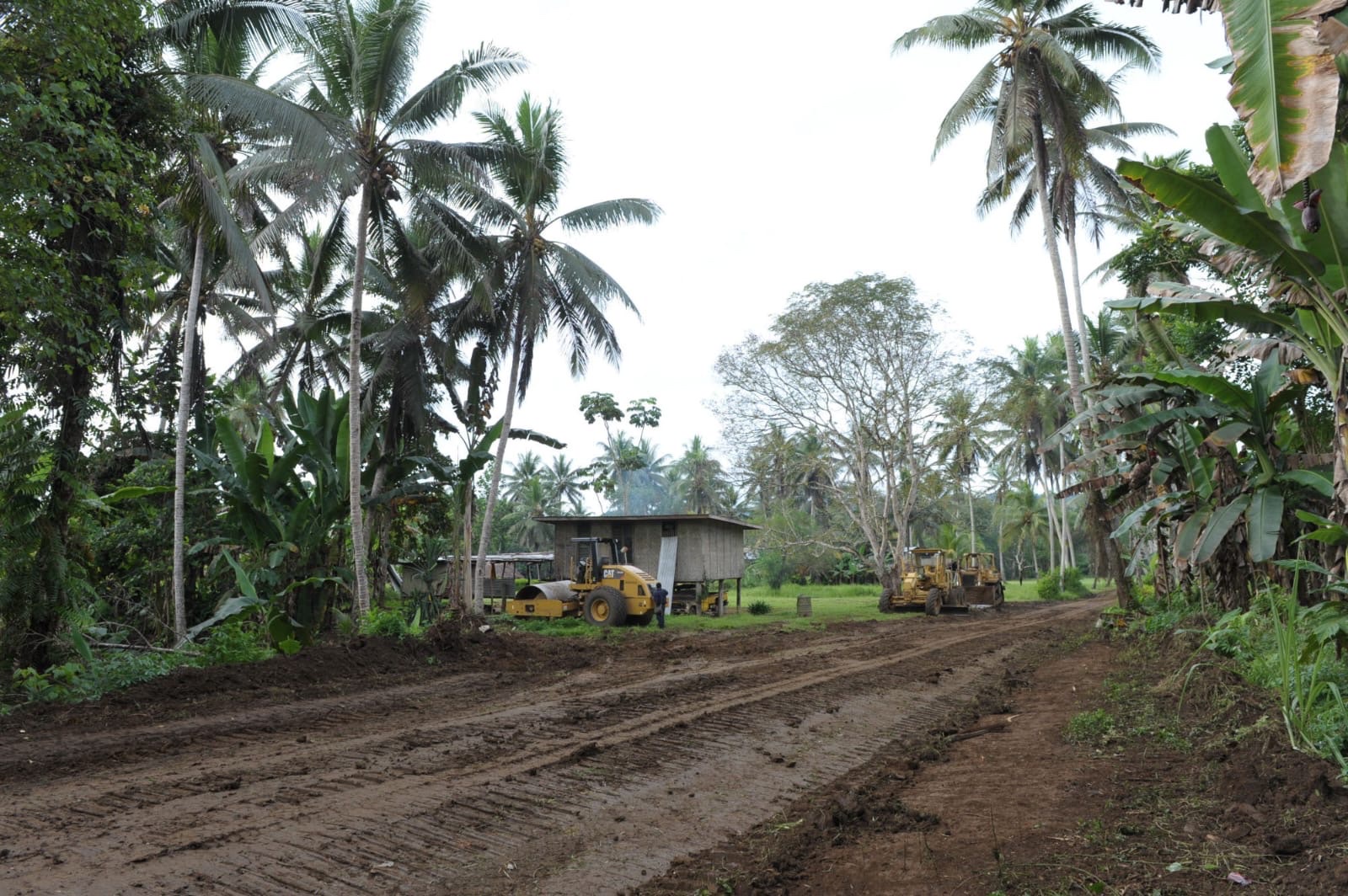 Road construction through tropical forest in Papua New Guinea